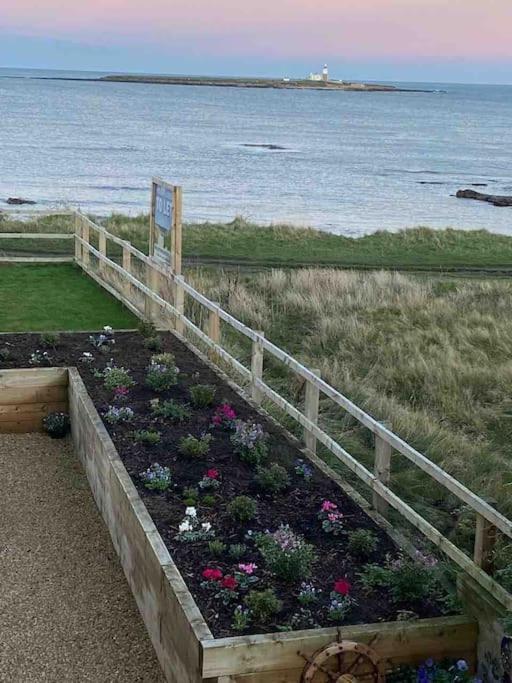 Signal House - A Stunning Beach House - 2020 Build Amble Dış mekan fotoğraf